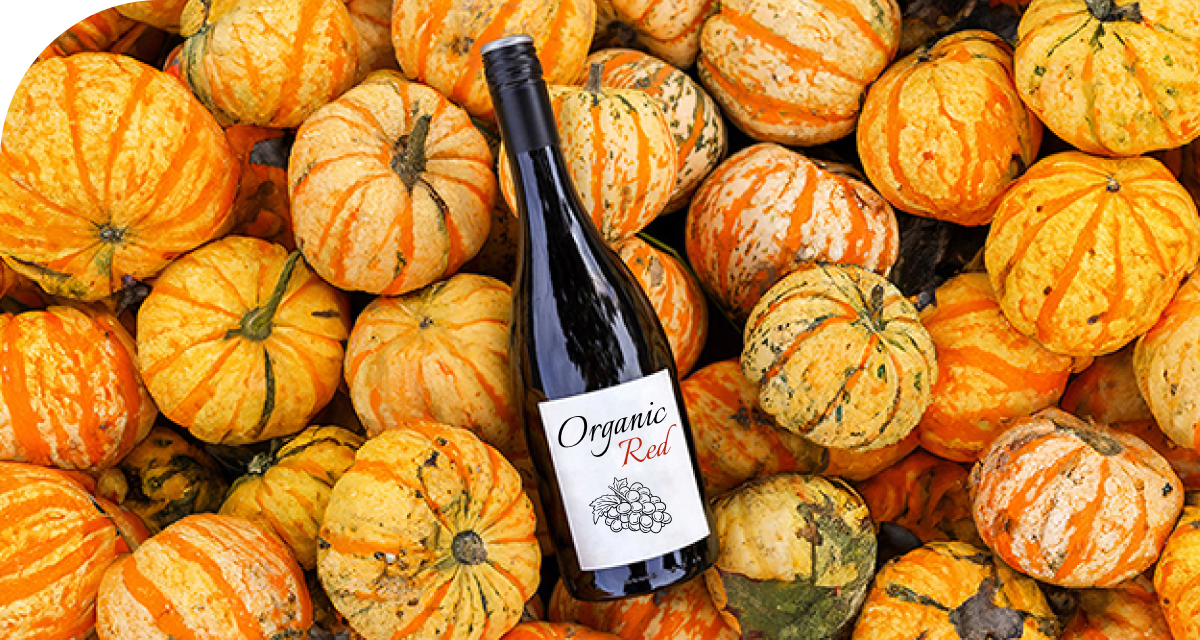 Blog Sustainable Wine