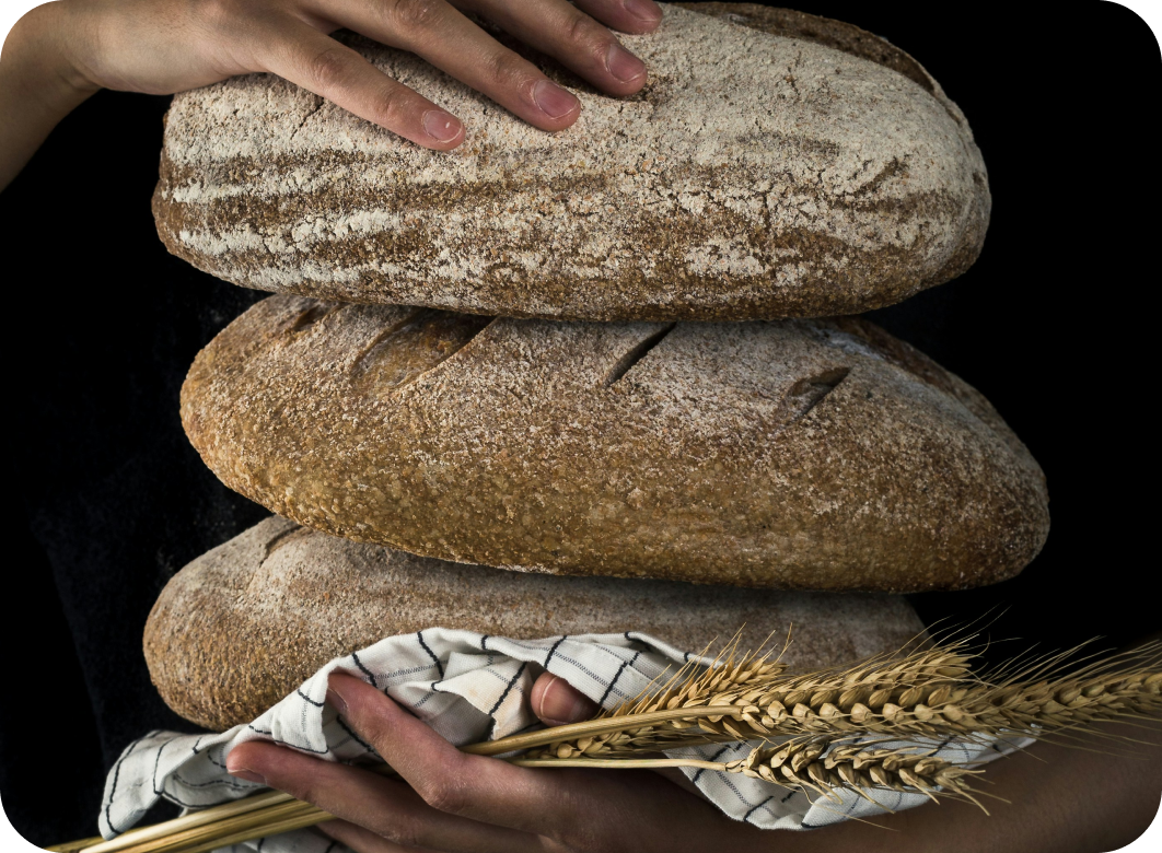 Bread (1)