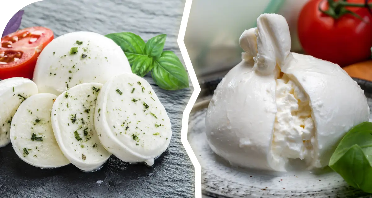 Mozzarella vs Burrata