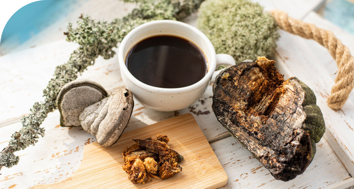 Blog image Mushroom Coffee Trend 2025