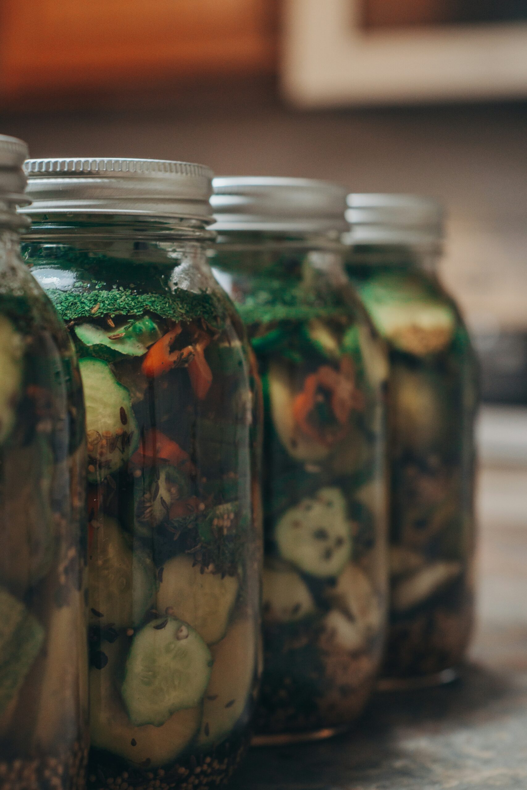 steph-greene-cSjn-GhSRu4-unsplash (1)