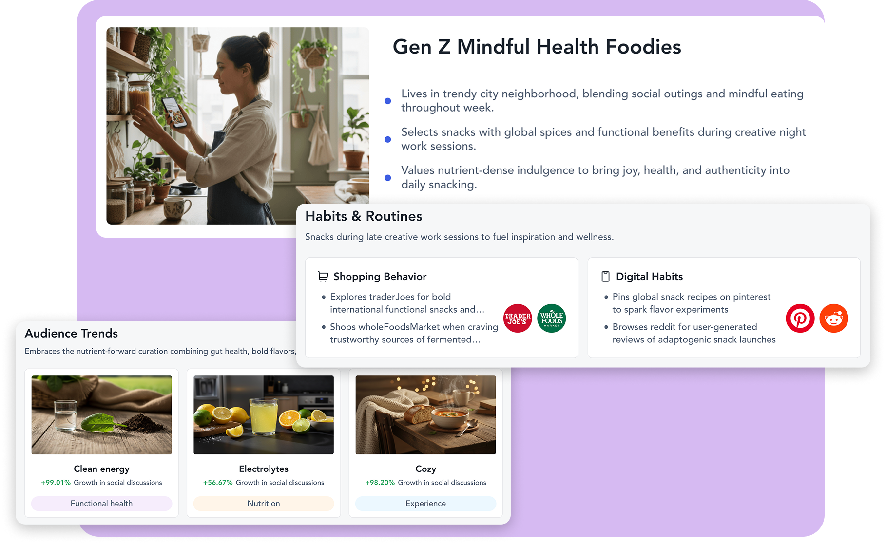 Custom Audiences interface