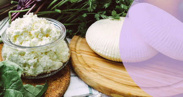 cottage-cheese-vs-greek-yogurt-cover-600×320